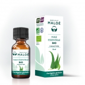 Eikalipts sfērisks (Eucalyptus globulus) BIO ēteriskā eļļa, organiska dabīga, 10 ml