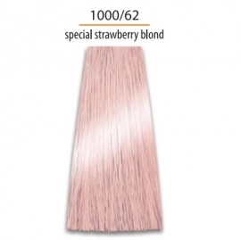 Krēmkrāsa matiem Intensis Color Art Prosalon Nr. 1000/62