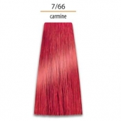 Krēmkrāsa matiem Intensis Color Art Prosalon Nr. 7/66