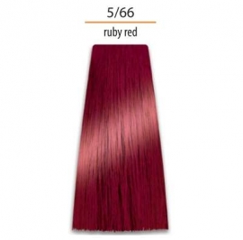 Krēmkrāsa matiem Intensis Color Art Prosalon Nr. 5/66