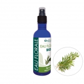 Tējas koka hidrolāts (Melaleuca Alternifolia), organisks, 200 ml