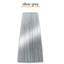 Krēmkrāsa matiem Intensis Color Art Prosalon Silver Grey