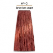Krēmkrāsa matiem Intensis Color Art Prosalon Nr. 6/G4
