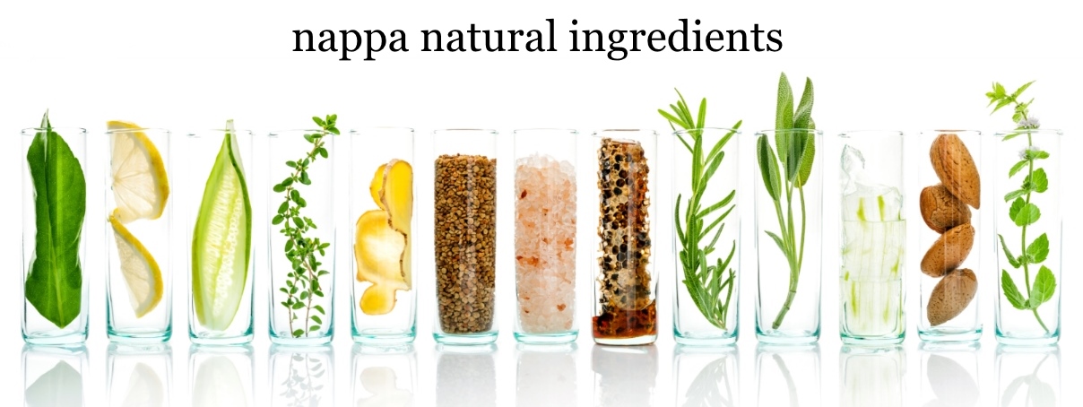 Nappa ingredienti