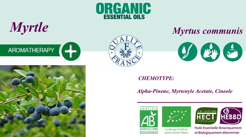 Эфирное масло Мирта Myrtus communis BIO 