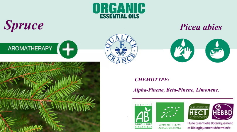 Эфирное масло Ели Picea abies BIO 