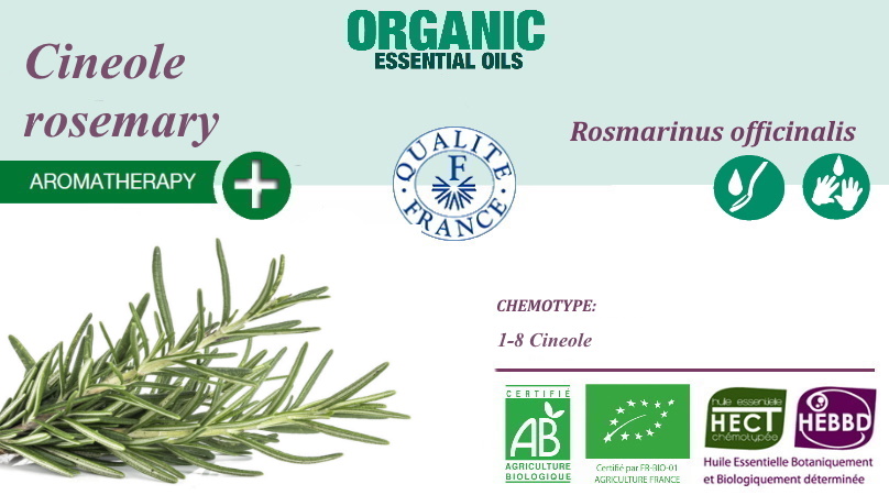 Rosmarinus officinalis cineole