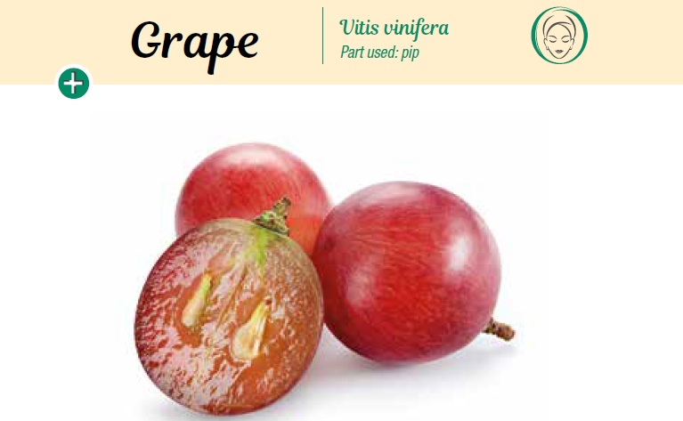 Grape