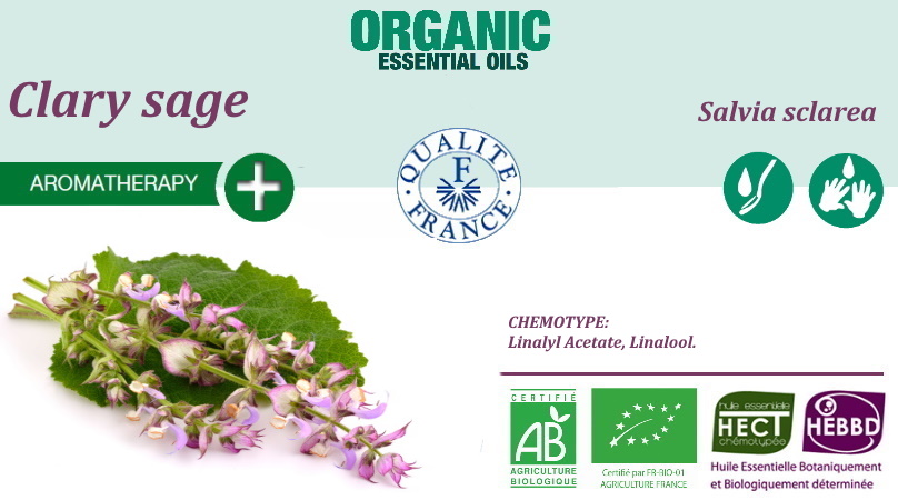 Clary sage