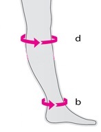 Размеры ноги